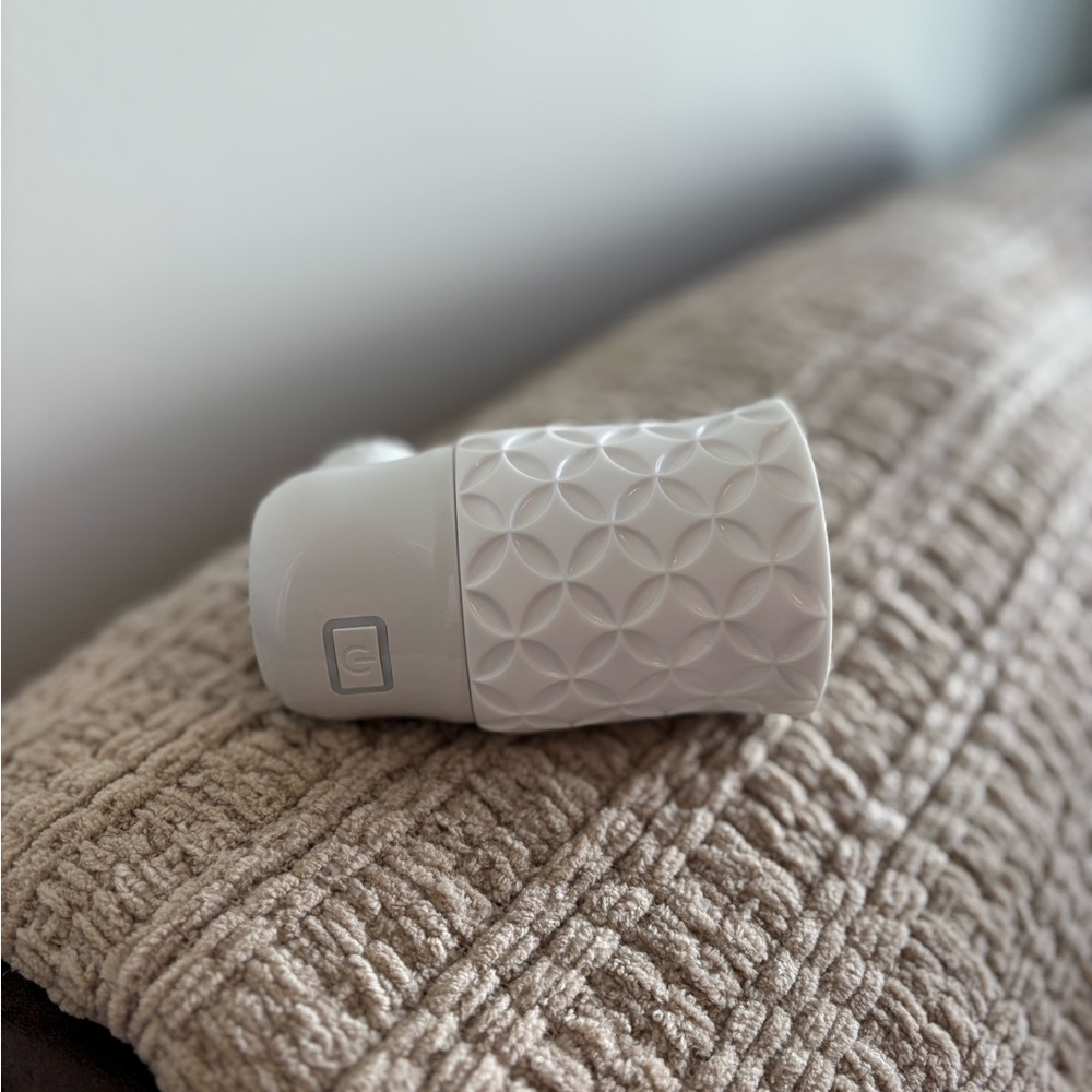 Scentsy | Wall Fan